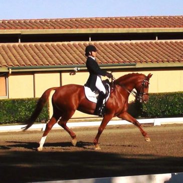 Jessica Naten – FEI Intermediate 1