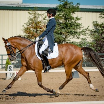 Grace Kamphefner – FEI Prix St-Georges