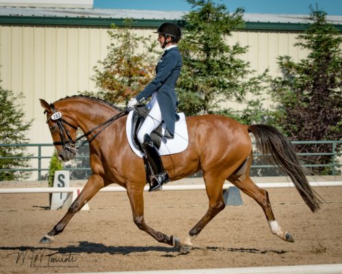 Grace and Petite Gabrielle FEI Prix St Georges