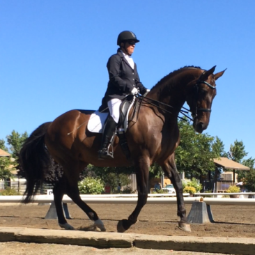 Maurya Faulker – FEI Prix St-Georges